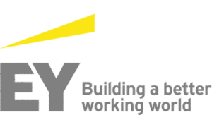 EY Building A Better Working World Job