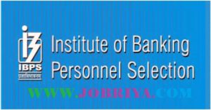 IBPS Specialist Officer Interview Letter