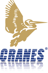 Cranes Software International Current Jobs