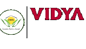 Vidya Institute of Fashion Technology